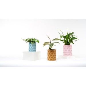 Kowafat Company Modern Cubic Vase Decor for Weddings, Dinner Table, Party